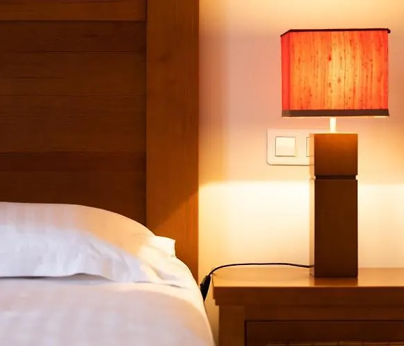 拉斯奇酒店 3* 萨雷