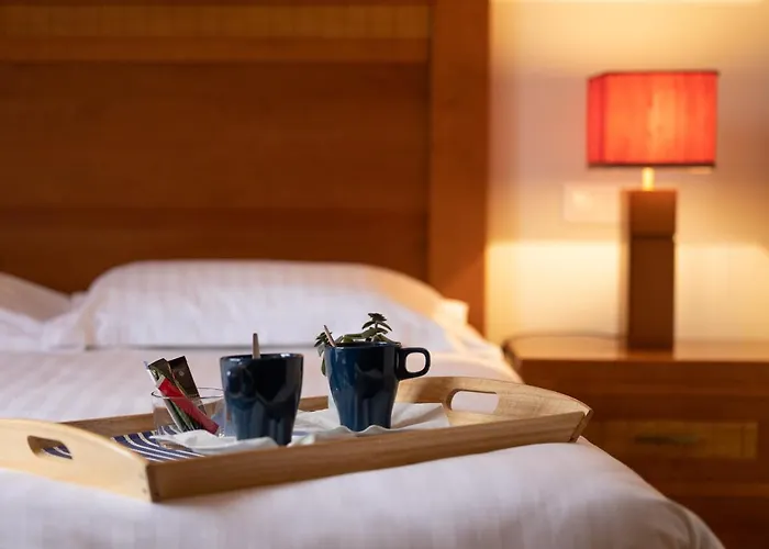 拉斯奇酒店 萨雷